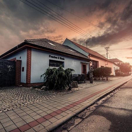 Hotel Penzion U Hada Velké Pavlovice Exterior foto