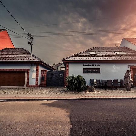 Hotel Penzion U Hada Velké Pavlovice Exterior foto