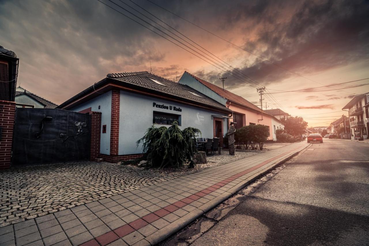 Hotel Penzion U Hada Velké Pavlovice Exterior foto