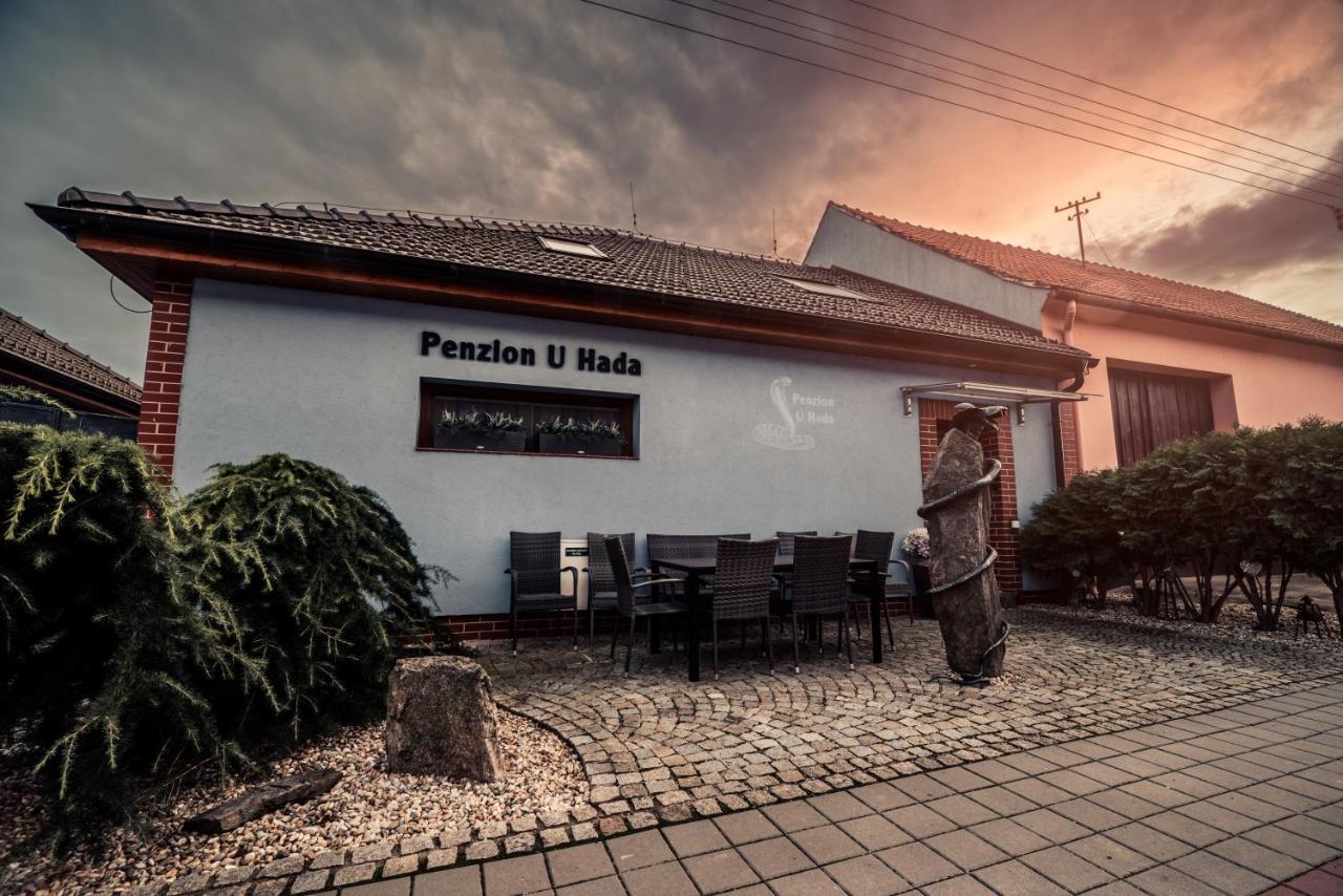 Hotel Penzion U Hada Velké Pavlovice Exterior foto