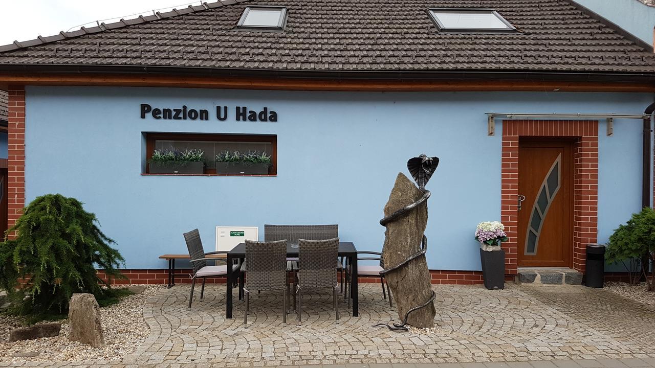 Hotel Penzion U Hada Velké Pavlovice Exterior foto